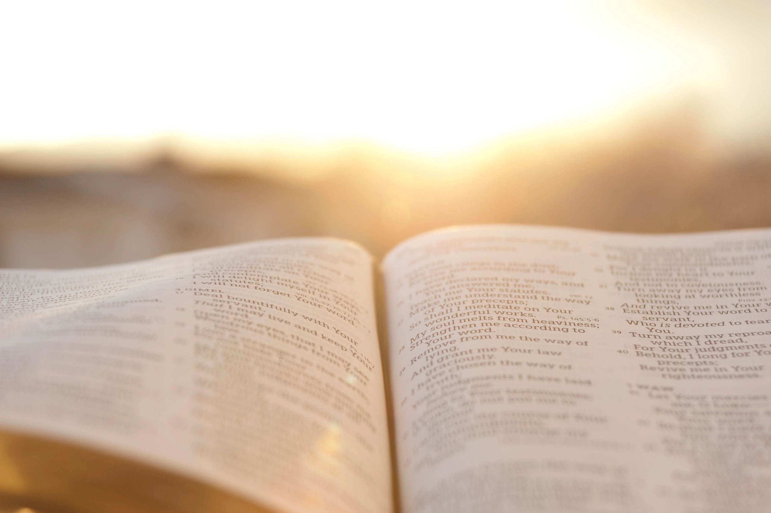 Open Bible with warm sunlight